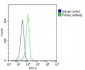 PCNA Antibody [Knockout Validated]